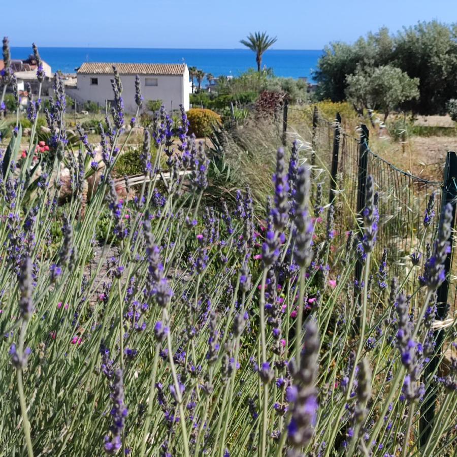 فيلا Casadorata Buen Retiro Vista Mare دونّالوكاتا المظهر الخارجي الصورة