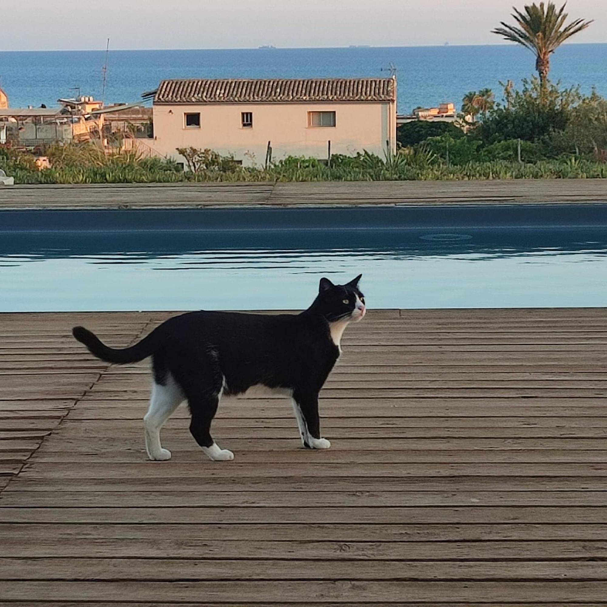 فيلا Casadorata Buen Retiro Vista Mare دونّالوكاتا المظهر الخارجي الصورة