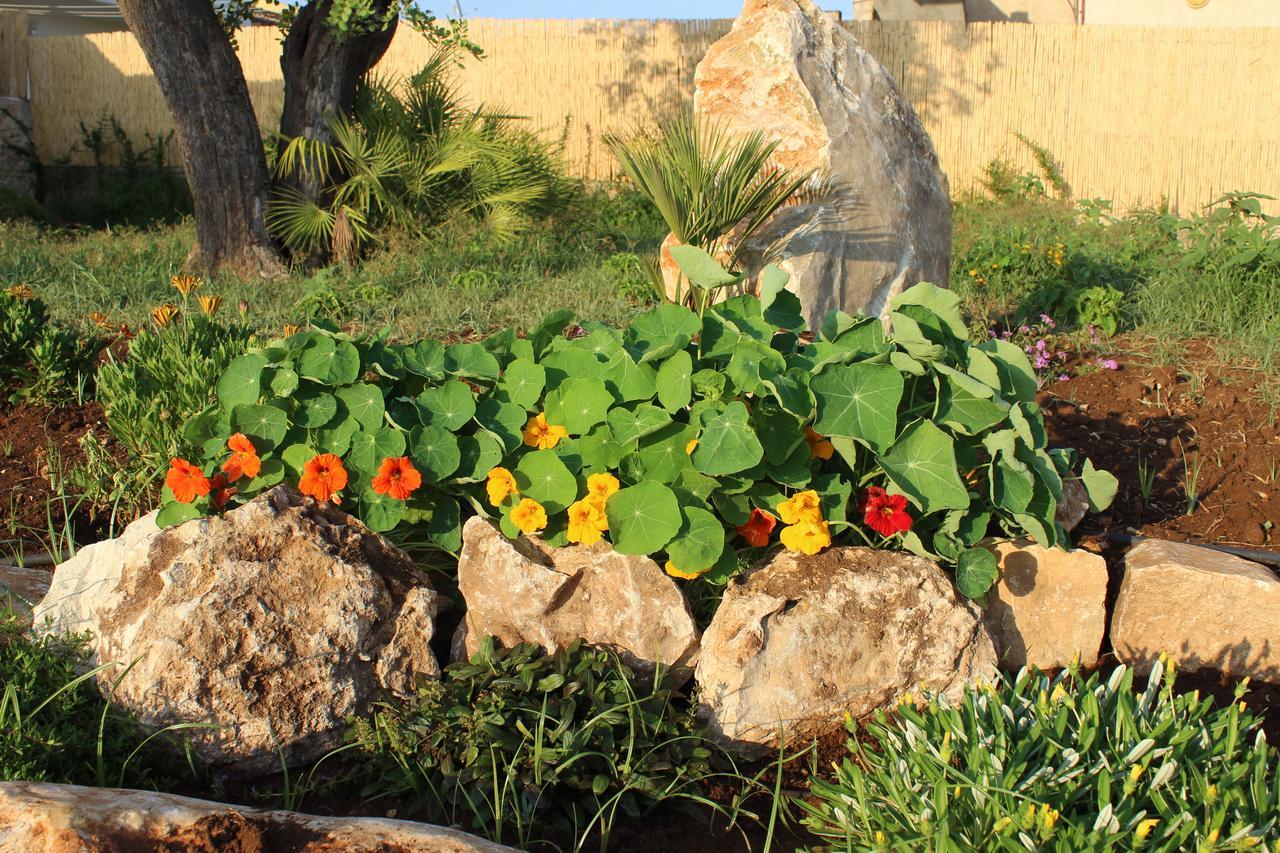 فيلا Casadorata Buen Retiro Vista Mare دونّالوكاتا المظهر الخارجي الصورة