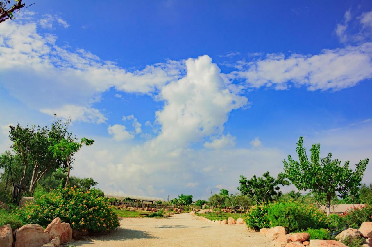 فيلا Casadorata Buen Retiro Vista Mare دونّالوكاتا المظهر الخارجي الصورة